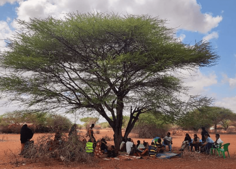 PARANET team conducting a legal sensitisation community forum with local residents seated under a tree in Wajir.
