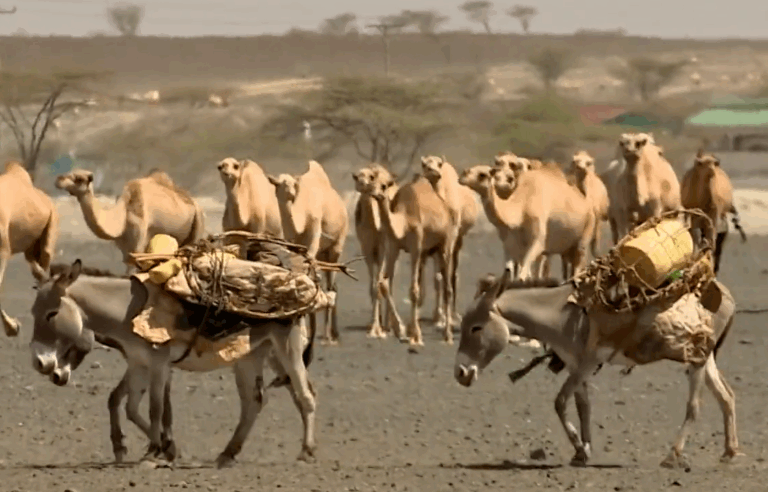 Entrenched Exclusion