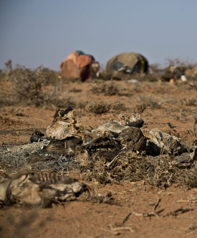 Struggling to Survive:The Impact of Drought and Marginalization